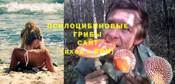 герыч Бородино