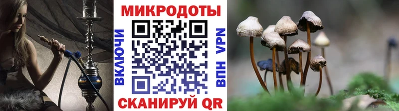 Псилоцибиновые грибы ЛСД Княгинино
