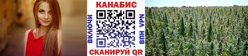 купить закладку Княгинино Шишки марихуана OG Kush